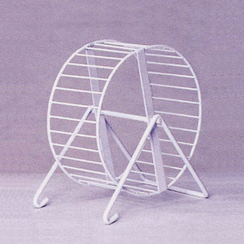 Hamster Playing Wheel